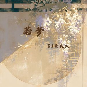 若梦(DJ版)
