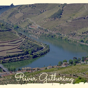 Snow in the Moonlight