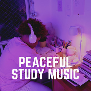Study Beats, Pt. 17
