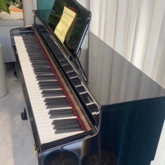 一心净土钢琴 (Live)