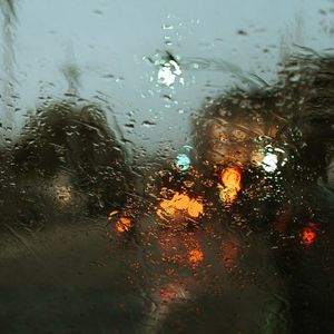 风雨飘落