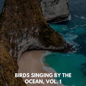 Peaceful Rain and Thunder Sound