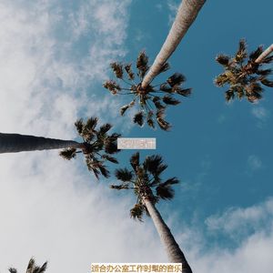 适合办公室工作温柔的音乐