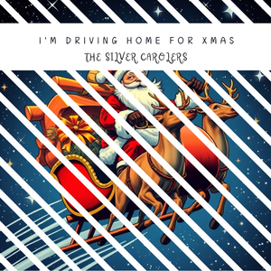 Snowy Skies of December