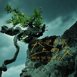 我是悬崖上的花