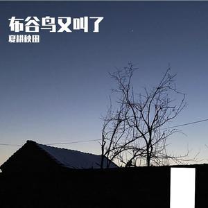 布谷鸟又叫了