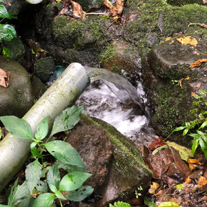 Estrela (feat. Rei Bravo)