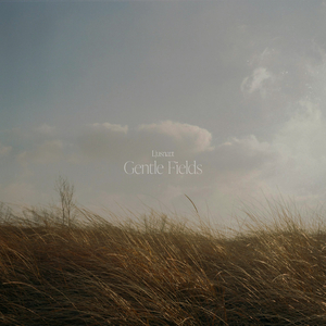 Gentle Fields