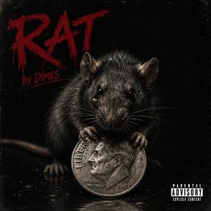 Rat