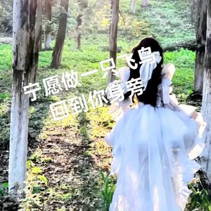 宁愿做一只飞鸟回到你身旁