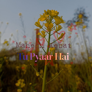 Tu Pyaar Hai
