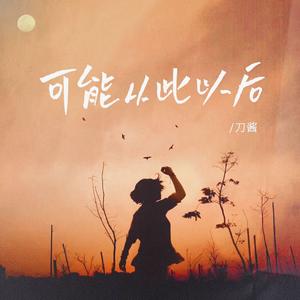 可能从此以后（DJ光波版）