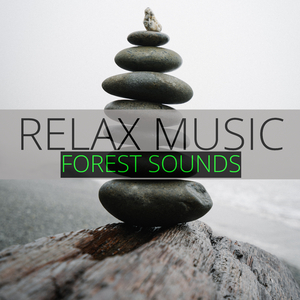 Sonidos Del Bosque Relajantes (Relax Forest Sounds)