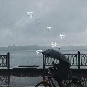 忘不了的是你