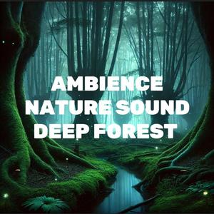 Whispers of the Forest A Calm Nature Escape