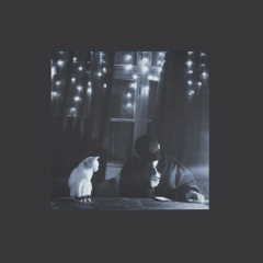 这座城市让我感到如此孤单