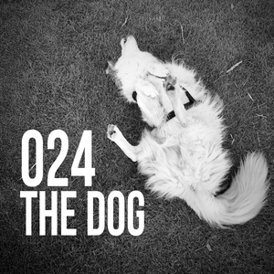 The dog