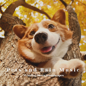 Rain Harmonics
