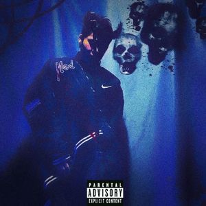 南环之光（Southern Ring Light）