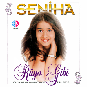 Gözümde Özdeyiş (Postacı)