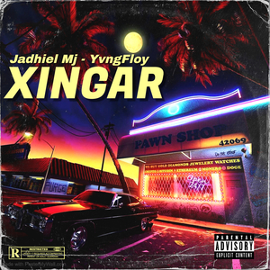 Xingar