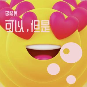 可以，但是
