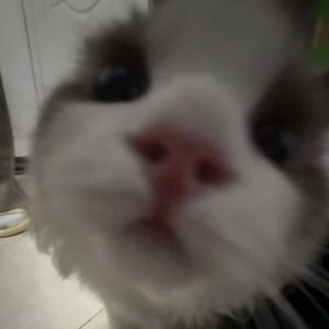 雨夜(Prod.by EVO Music)