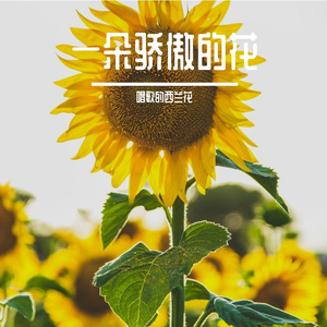 一朵骄傲的花