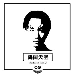 Beyond-Beyond - 海阔天空 (MushrooM Bootleg)（MushrooM remix）