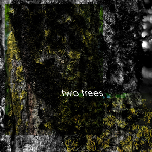 Under the Grove
