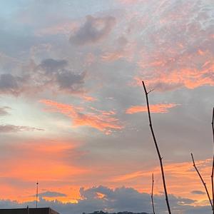 我不是你的宋冬野