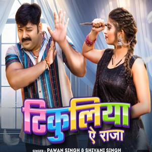 Tikuliya Ae Raja (feat. Pawan Sing, Shivani Sing_Malya)