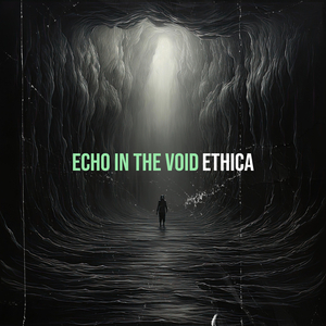 Echo in the Void