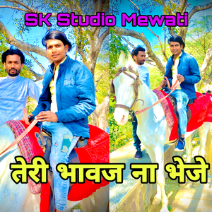 तेरी भावज ना भेजे