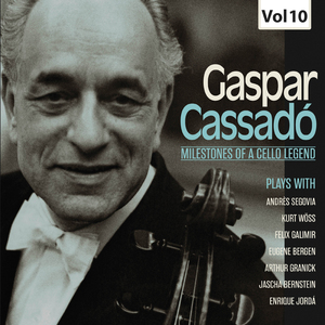 Cello Concerto in B Minor, Op. 104, B. 191:I. Allegro