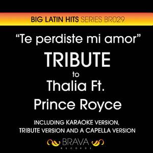 Te Perdiste Mi Amor (Instrumental Version)