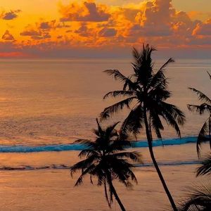 按下幸福快门的永恒一瞬