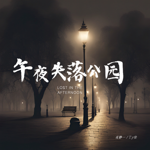 午夜失落公园