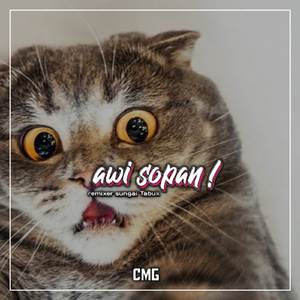 Bani Bani kaennimerry x ba pinjaman (INS)