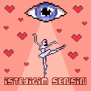 İstediğim Sensin