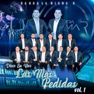 Medley/son de la tambora/el toro viejo/la boda del huitlacoche/sangoloteadito/alaantiguita