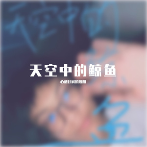 天空中的鲸鱼