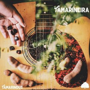 Tamarineira