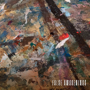 False Awakenings