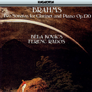 Clarinet Sonata in E-Flat Major, Op. 120, No. 2:I. Allegro amabile