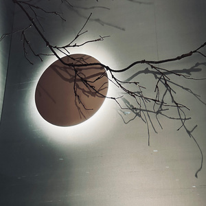 昨夜星辰昨夜风（试听）