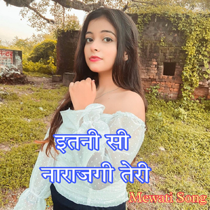Itni Si Narajgi Teri Mewati Song