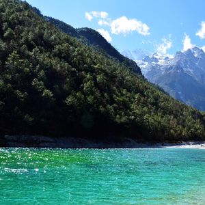 干了这杯茶 伴奏