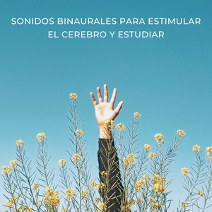 Progresión Productiva