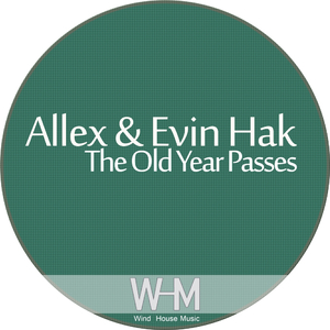 The Old Year Passes (Original Mix)